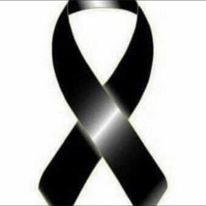 Meet your Posher, Carmen